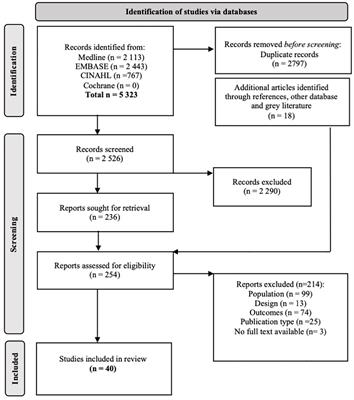 Diabetic foot complications among Indigenous peoples in Canada: a scoping review through the PROGRESS-PLUS equity lens